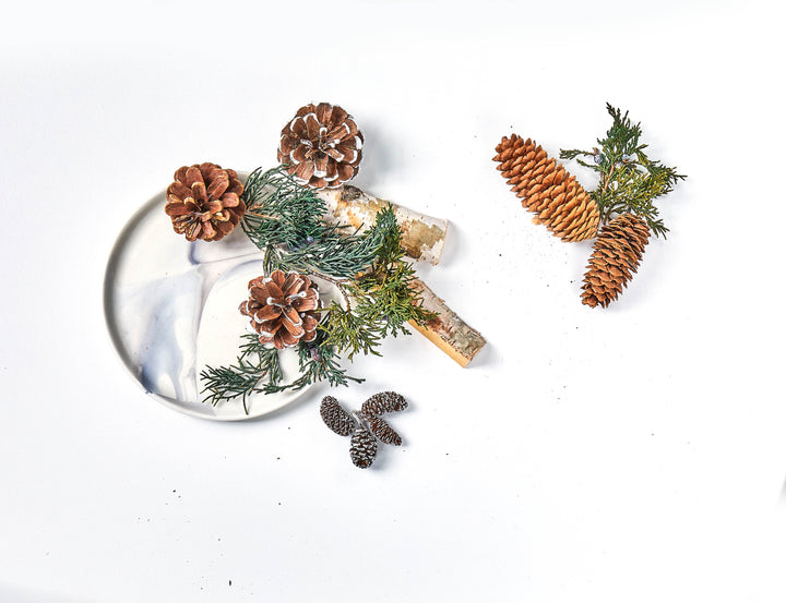 Compare with Thymes Fraiser Fir. Gorgeous woodland potpourri is so beautiful you may think Roland himself went into the woods and made it! Our blend of rustic pine cones, big pieces of "Burch"  and sprigs of juniper bring the forest inside. Enjoy a generous offering of rustic, potpourri drenched in our incredible Roland Pine! Naturally fresh, our potpourri comes in a clear cello bag and pretty custom ribbon, making it a perfect gift!