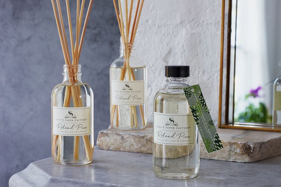 Frargance Diffusers Natural Fragrance Diffusers for a Relaxing Home Environment – Soap ...