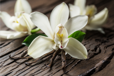 The Allure of Vanilla: A Fragrant Journey