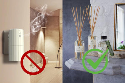 The Dangers of Toxic Air Fresheners and the Benefits of Healthier Alternatives