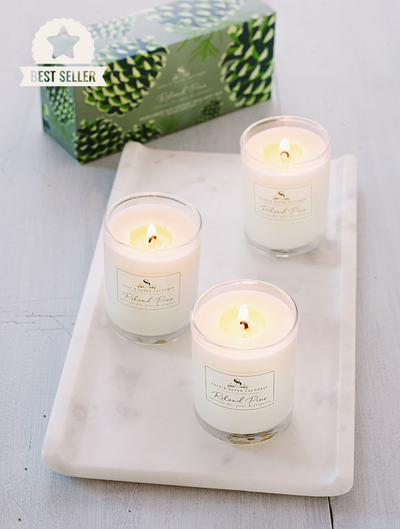 Roland Pine Soy Candle Votive Gift Set