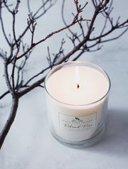 Roland Pine Single-Wick Candle