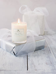 Roland Pine 2.2 oz Votive Glass Soy Candle